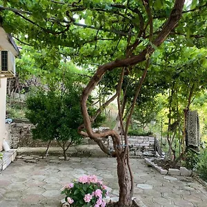  Alloggio in famiglia Isaraj